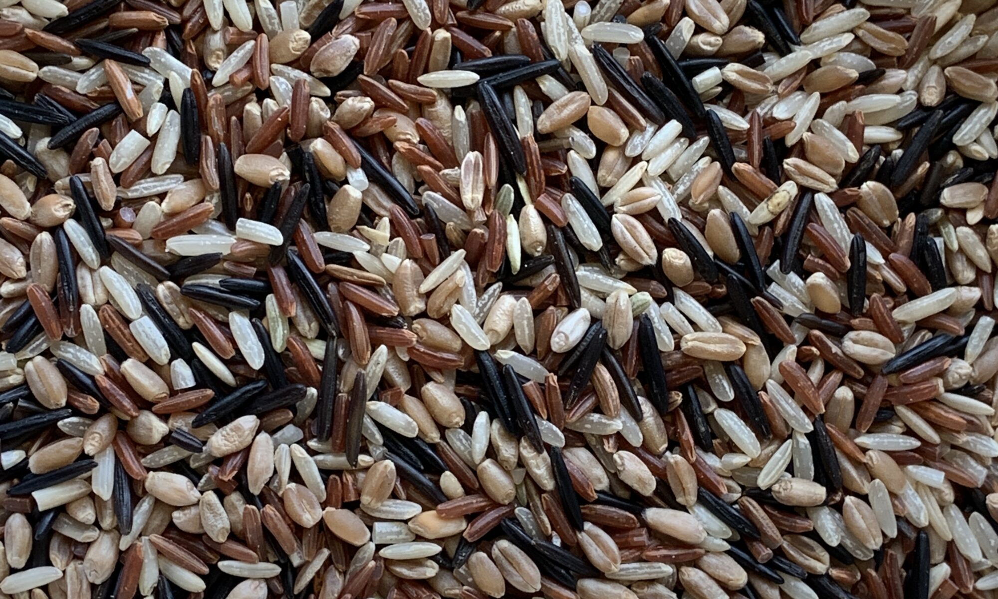 Image of Dan's Favorite Grain Blend