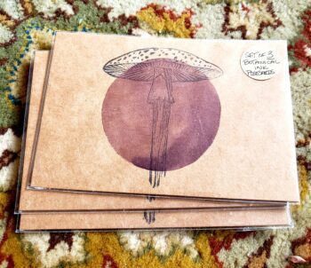 Image of Fungi Postcards, front