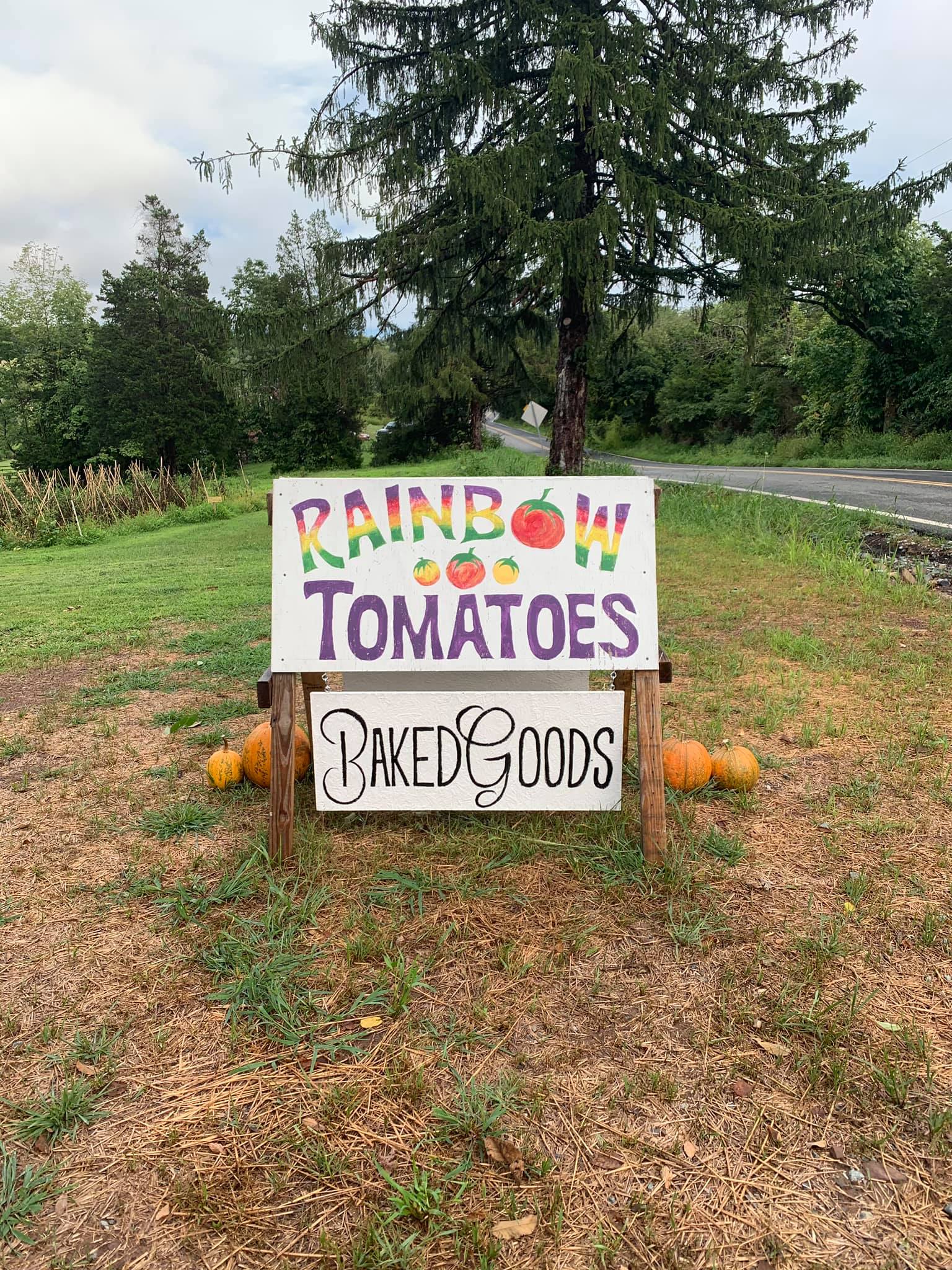 Online Farm Stand & Tinned Fish Shop - Rainbow Tomatoes Garden LLC