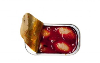 Image of an open tin of José Gourmet Spiced Calamari in Ragout Sauce