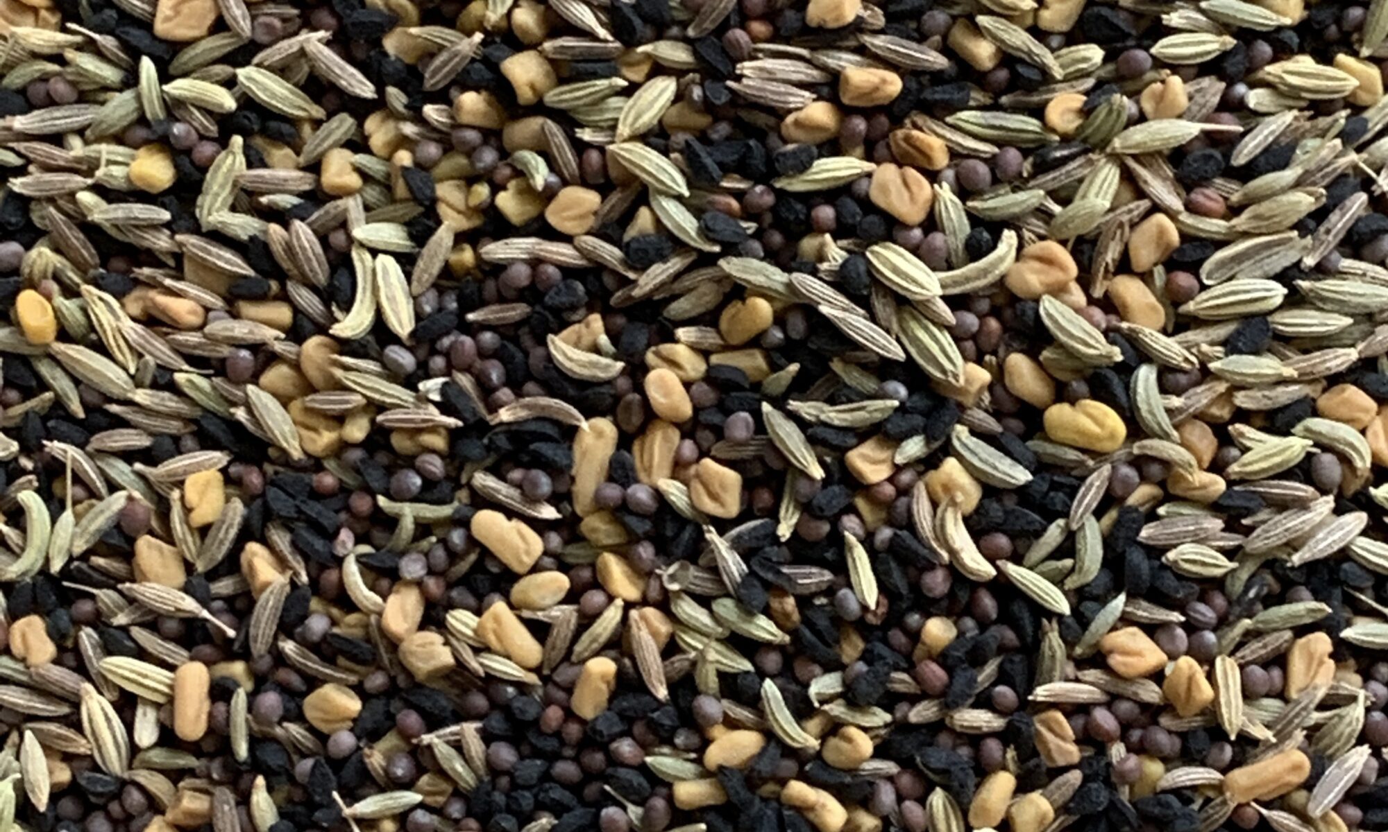 Image of the five seed blend that is Panch Phoron.