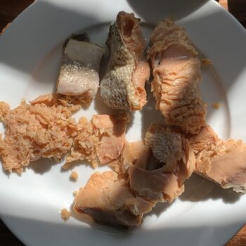 Image of the plated contents of a tin of Wildfish Cannery Classic Coho Salmon