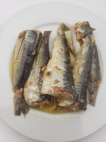 Image of Mouettes d'arvor vintage sardines brest 2020 on plate