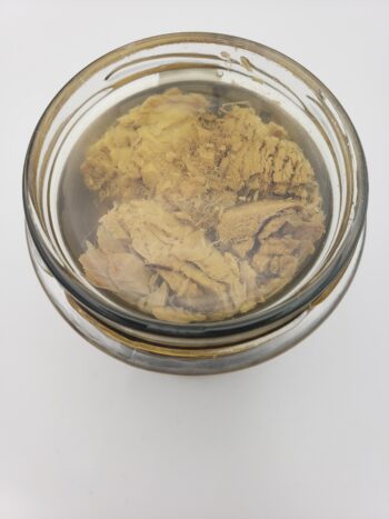 Image of Coles tuna fillets in olive oil with oregano open jar