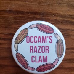 image of occams razor clam button