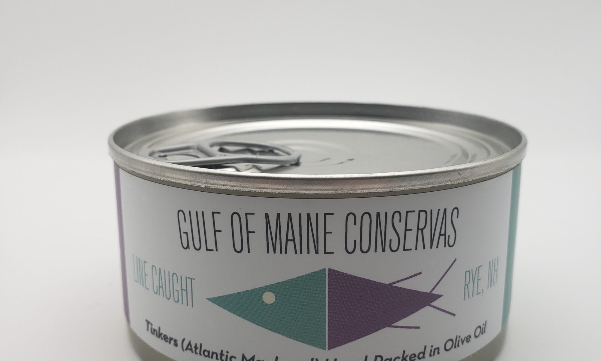 Image of Gulf of Maine tinkers (atlantic mackerel)