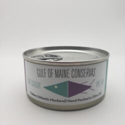 Image of Gulf of Maine tinkers (atlantic mackerel)