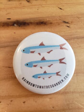 Image of sardine pinback button