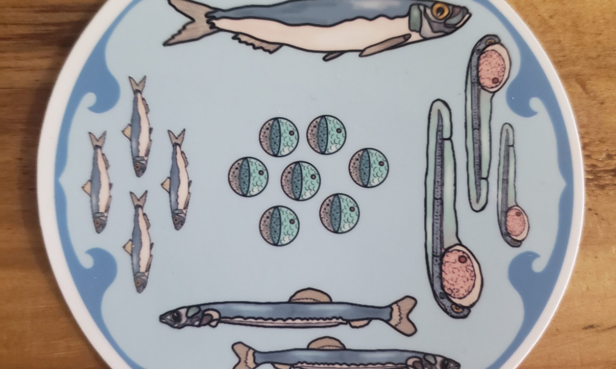 Image of Sardine Lifecycle sticker RTG sardines designed by Amanda Bienko